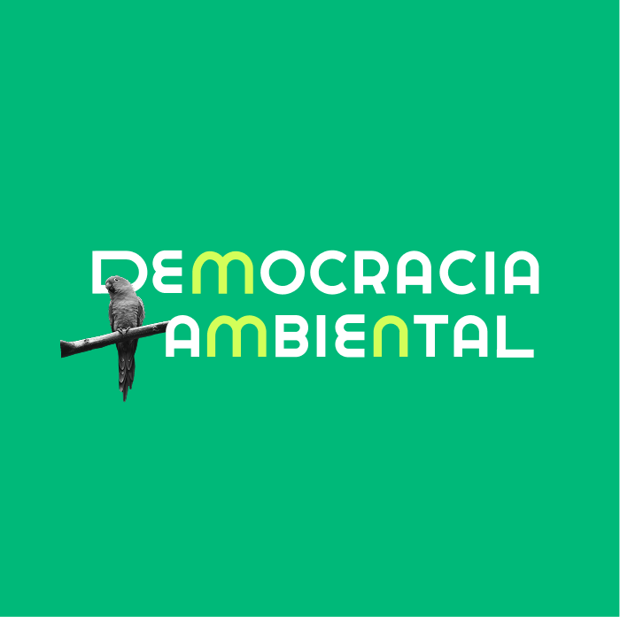 Identidad visual de Democracia Ambiental
